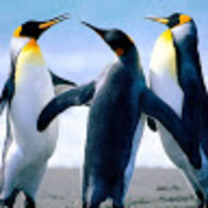 Meet your Posher, Tabitha